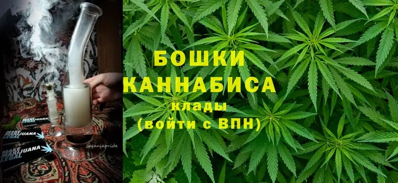 Купить наркотики сайты Чехов NBOMe  МАРИХУАНА  A PVP  Гашиш  Мефедрон  Cocaine 